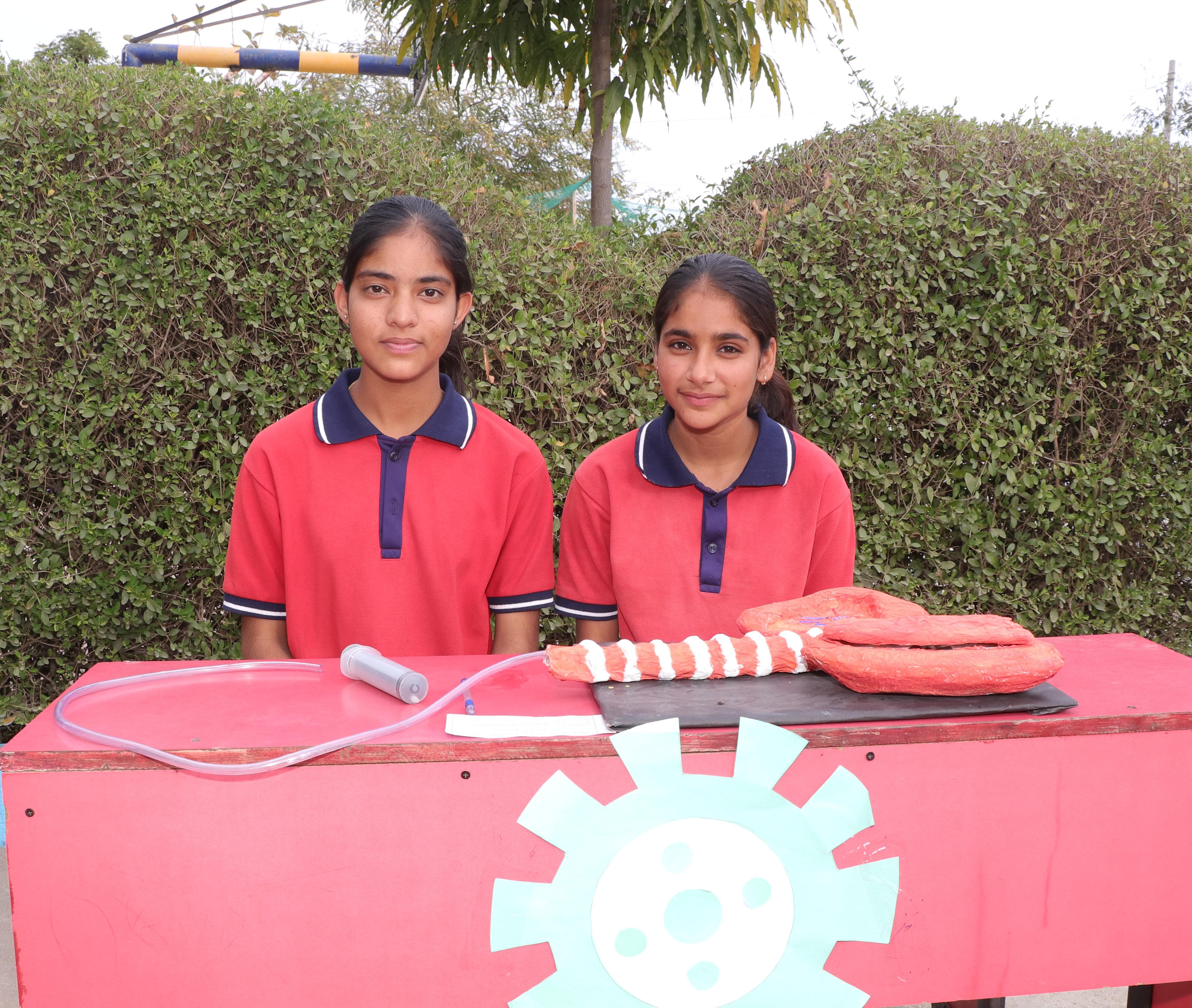 Science Fair